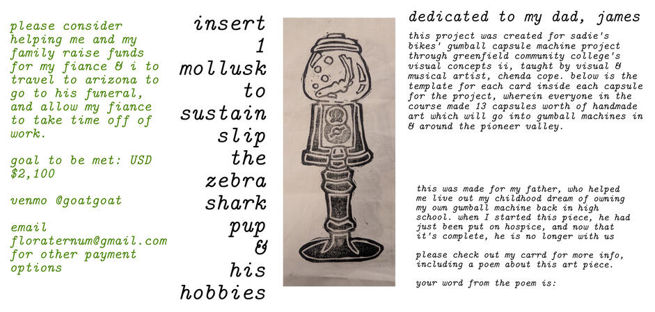 slip the zebra shark pup for the Sadie's Bikes gumball project, in memory of my dad, james